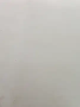 Snapshot of sanjana077 chatting on 03-03-26, 01:23 sanjana077 online show from 03-03-26, 01:23