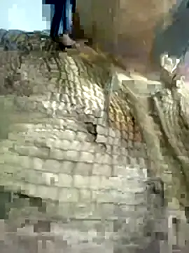 Snapshot of Nishi-3 chatting on 01-17-26, 12:31 Nishi-3 online show from 01-17-26, 12:31