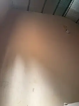 Dilen 7533 online show from 11-13-25, 02:04