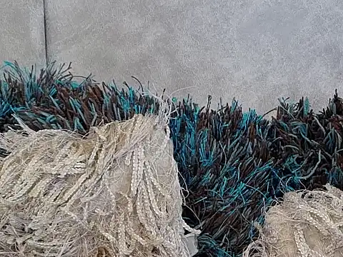 Snapshot of LannyShell chatting on 11-26-25, 05:24 LannyShell online show from 11-26-25, 05:24