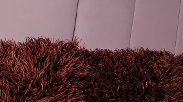 LannyShell online show from 03-26-26, 05:00