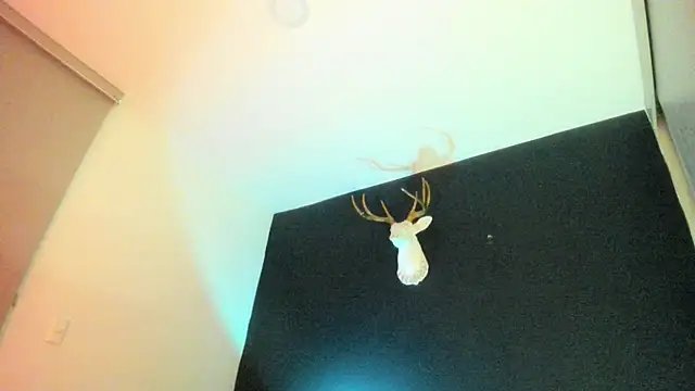 Snapshot of Zeus_Jeff chatting on 02-19-26, 01:35 Zeus Jeff online show from 02-19-26, 01:35