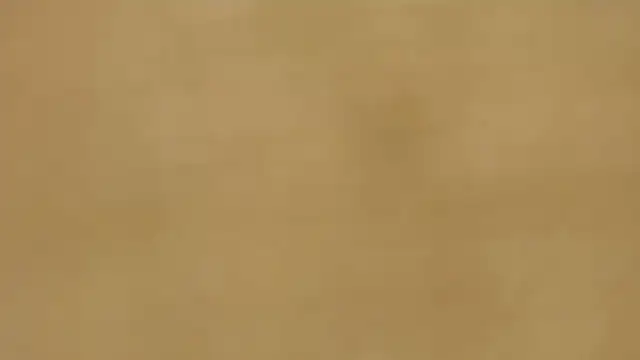 quenn-squirtanal online show from 03-26-26, 04:38