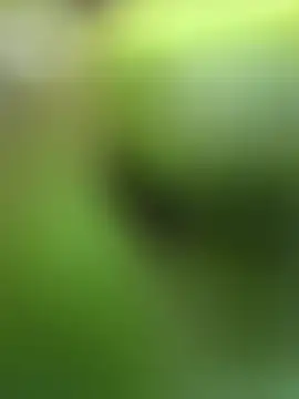 Lynly k2 online show from 02-13-26, 05:29