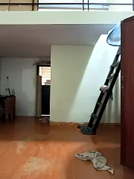 Lynly k2 online show from 03-11-26, 01:10