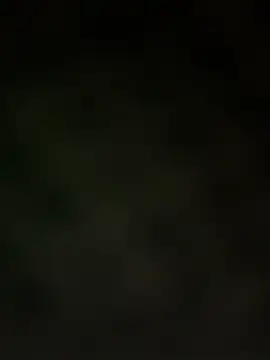 trickydickydaddy online show from 03-13-26, 07:57