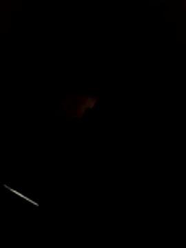 Snapshot of WillfulVideo chatting on 03-22-26, 11:06 WillfulVideo online show from 03-22-26, 11:06