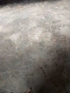 Snapshot of WillfulVideo chatting on 11-12-25, 10:41 WillfulVideo online show from 11-12-25, 10:41