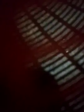 Snapshot of WillfulVideo chatting on 11-14-25, 04:54 WillfulVideo online show from 11-14-25, 04:54