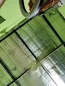 Keya-009 online show from 03-20-26, 09:54