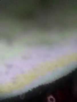 jacka 305 online show from 01-14-26, 09:07