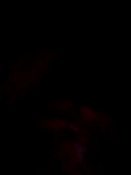 jacka 305 online show from 12-01-25, 08:32