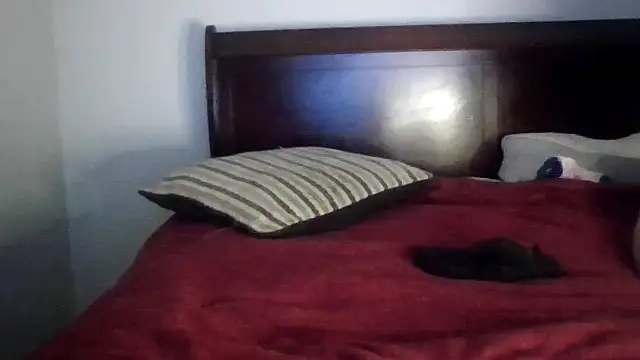 Dusaa  online show from 12-17-25, 08:36