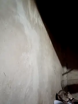 blonde blg online show from 03-17-26, 04:48