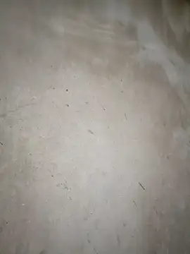 blonde blg online show from 03-14-26, 11:33