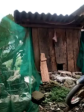 blonde blg online show from 03-26-26, 11:24