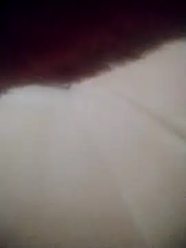 hassna04 online show from 02-07-26, 06:05