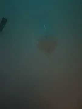 machineslut online show from 06-15-26, 12:12