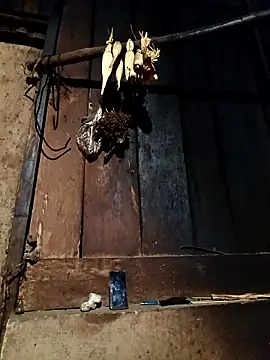 -Chua-90 online show from 01-13-26, 11:36