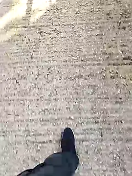 Unknown18cmxh online show from 12-18-25, 08:41