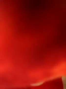 Ragner-6 9 online show from 03-09-26, 08:01