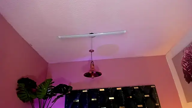 Velvet Dreamss online show from 03-26-26, 11:41