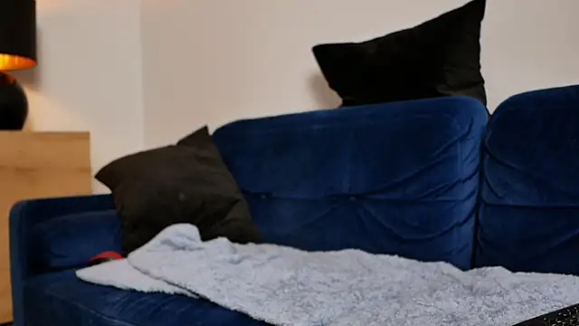 BellaBlush03 online show from 02-20-26, 08:22