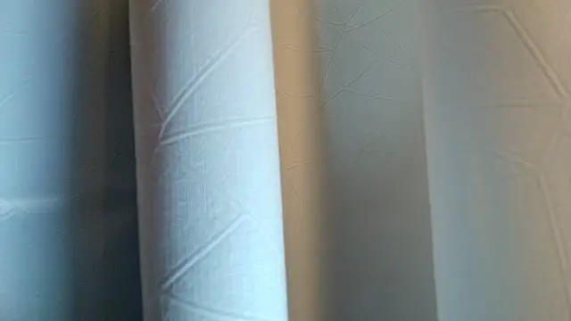 LilyFox t online show from 11-11-25, 01:28