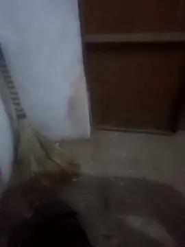 Neha cut79 online show from 01-10-26, 01:17