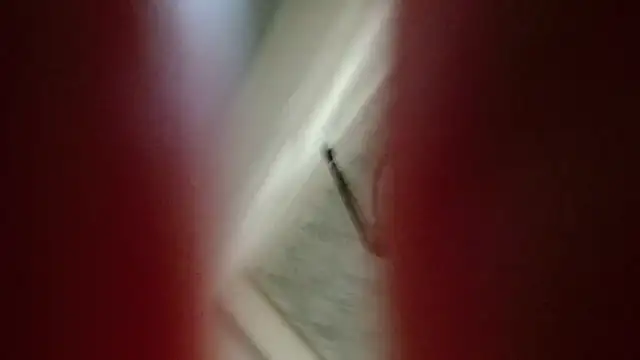 Snapshot of Natali-Gucci chatting on 11-12-25, 10:02 Natali-Gucci online show from 11-12-25, 10:02