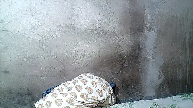 xwindyxxx online show from 02-19-26, 06:43