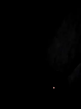 arcacsel online show from 11-29-25, 10:54