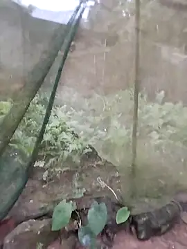 gugu0022 online show from 02-25-26, 11:26