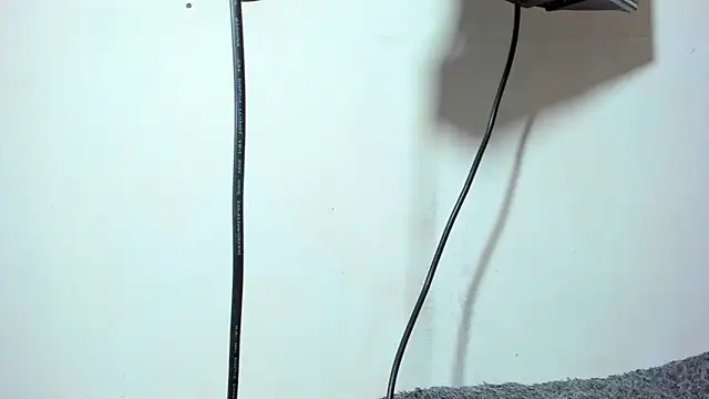 ZeusBrant online show from 04-15-26, 07:58