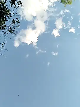 joselo2217 online show from 11-25-25, 09:15