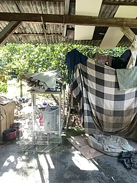 Snapshot of Monahliza chatting on 02-11-26, 11:32 Monahliza online show from 02-11-26, 11:32