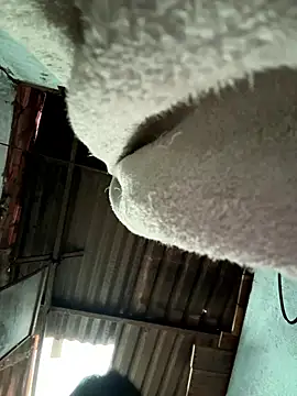 MEFUN- online show from 01-09-26, 09:27