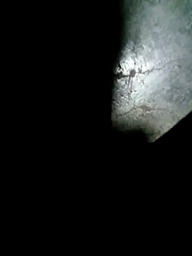 raju423204 online show from 02-15-26, 01:06