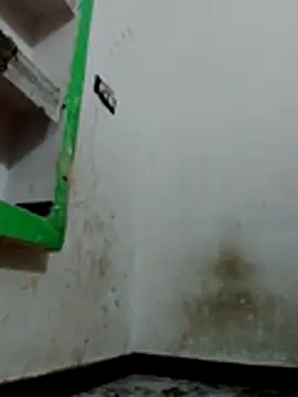 Bigg bhabi online show from 01-12-26, 11:31