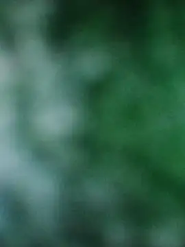 Rouse hot  online show from 12-20-25, 03:20