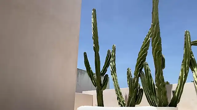 alex islivee online show from 06-05-26, 06:57