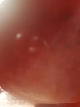 Ratacrocante online show from 12-19-25, 08:55