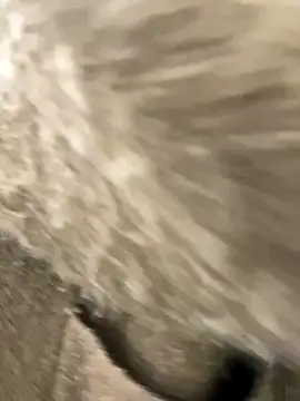 yiyi0316 online show from 11-28-25, 05:29