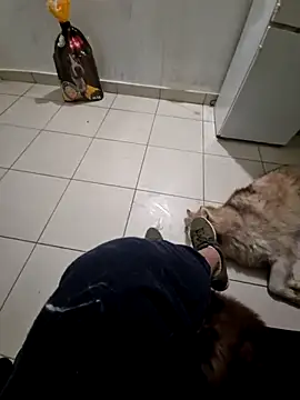 RITAEGIH online show from 03-02-26, 08:05