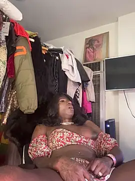 Motherbigbus online show from 04-15-26, 05:17