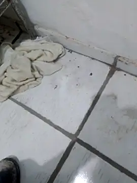 Paugostoso270515 online show from 04-10-26, 03:19