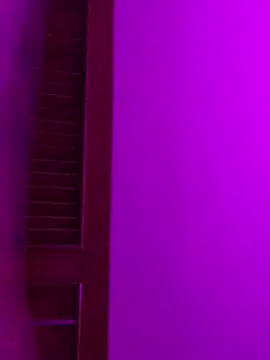 Dannii- online show from 04-14-26, 12:59