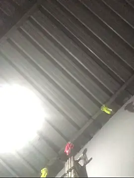 sexguruxxx online show from 01-11-26, 11:11