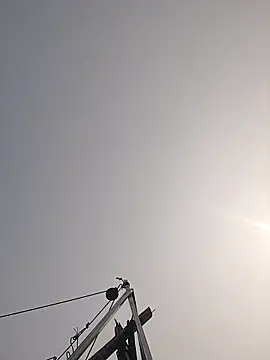 Cover-baa online show from 03-27-26, 07:39