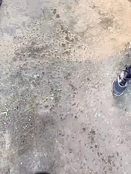 Playboy pune  online show from 11-19-25, 10:04